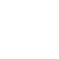icon_bleaching