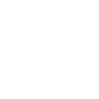 icon_zahnersatz_prothesen
